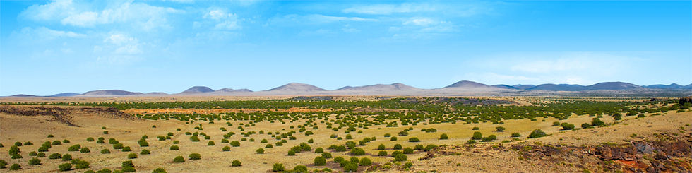 Thumbnail: COCONINO NATIONAL FOREST ARIZONA DESERT right