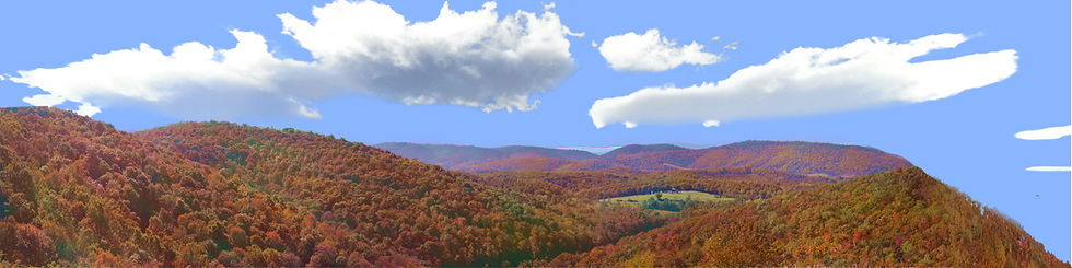 Thumbnail: FOREST CANOPY IN WEST VIRGINIA IN AUTUMN right