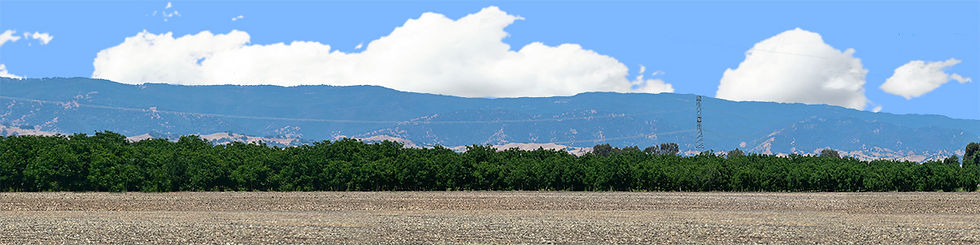 Thumbnail: CITRUS GROVES NORTHERN CALIFORNIA vista 1