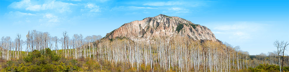 Thumbnail: LEAFLESS AUTUMN ASPENS IN COLORADO ON MOUNTAIN ROCKY BUTTE left