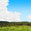 Thumbnail: MEADOW AND FORESTED HILLS IN SPRING right