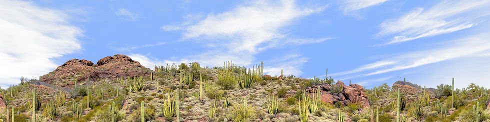 Thumbnail: ORGAN PIPE CACTUS NATIONAL MONUMENT left repeatable