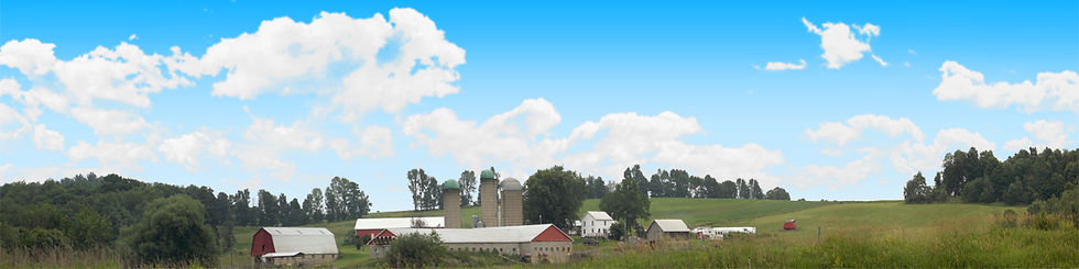Thumbnail: FARM WITH RED BARN VIRGINIA left
