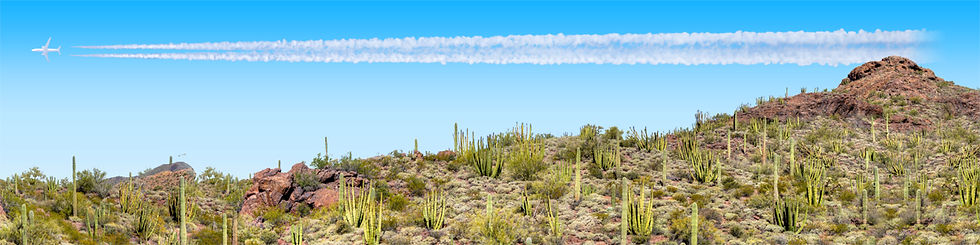 Thumbnail: ORGAN PIPE CACTUS NATIONAL MONUMENT VISTA 2 repeatable