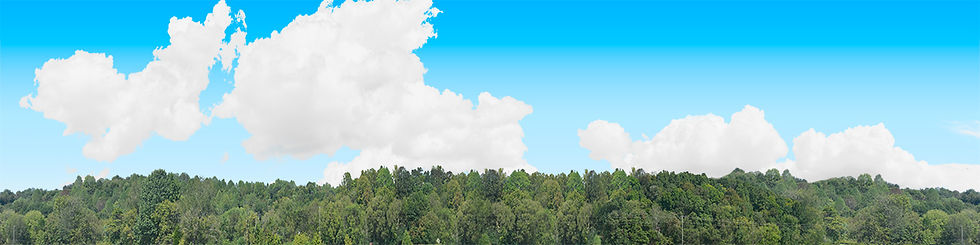 Thumbnail: TREELINE TENNESSEE WITH HOUSE center repeatable