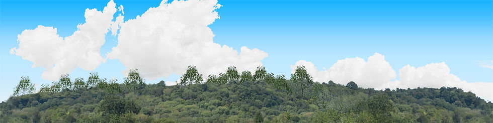 Thumbnail: SMOKY MOUNTAIN WOODS Center Repeatable