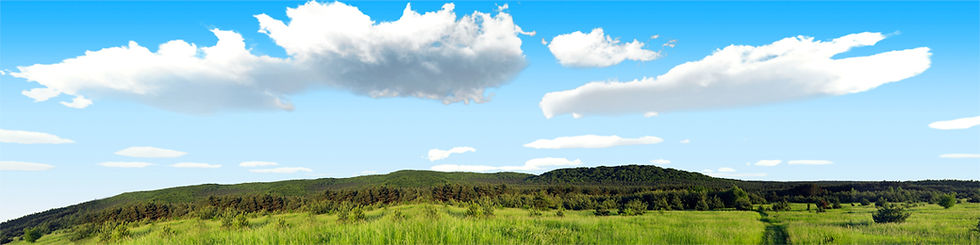 Thumbnail: MEADOW AND FORESTED HILLS IN SPRING left