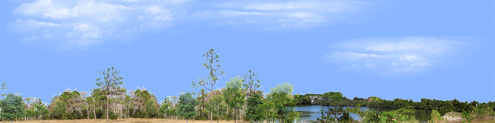 Thumbnail: EVERGLADES ORIGINAL left