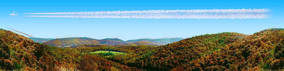 Thumbnail: FOREST CANOPY IN WEST VIRGINIA IN AUTUMN center continuous