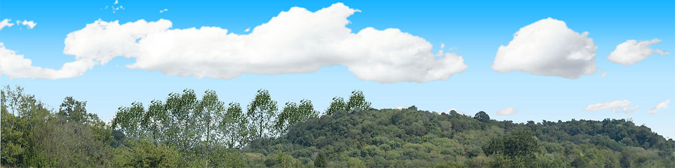 Thumbnail: SMOKY MOUNTAIN WOODS Left
