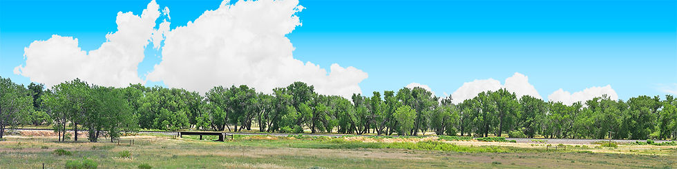 Thumbnail: TREELINE VISTA EASTERN COLORADO 5