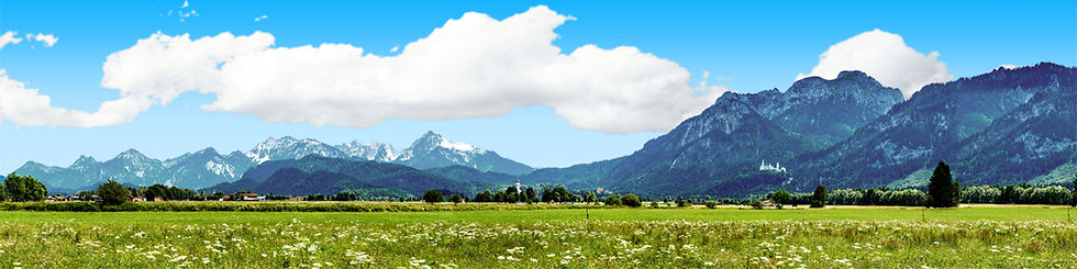 Thumbnail: BAVARIAN MEADOW GERMAN ALPS left