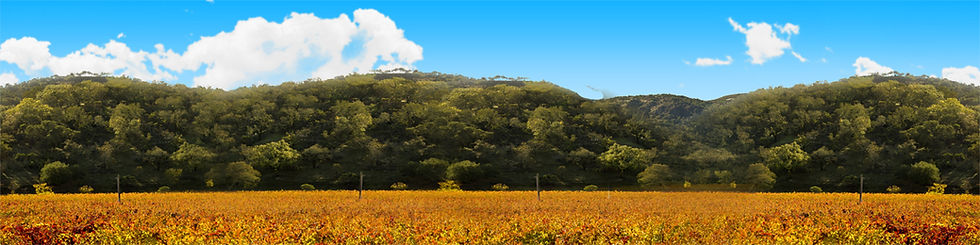Thumbnail: AUTUMN IN NAPA VALLEY CALIFORNIA center repeatable