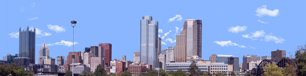 PITTSBURGH FROM THE SOUTH