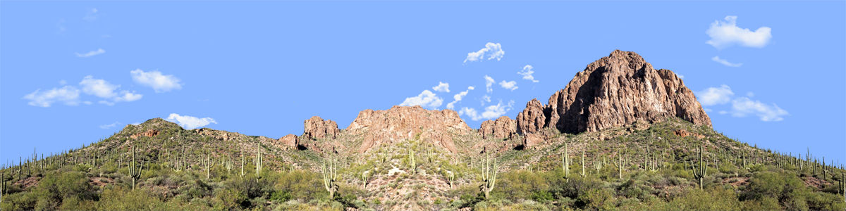 DESERT SAGUAROS AROUND MOUNTAIN BUTTE right repeatable