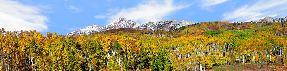 Thumbnail: AUTUMN GUNNISON NATL FOREST COLORADO left