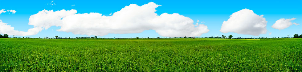 Thumbnail: FARMING RICE FIELD repeatable