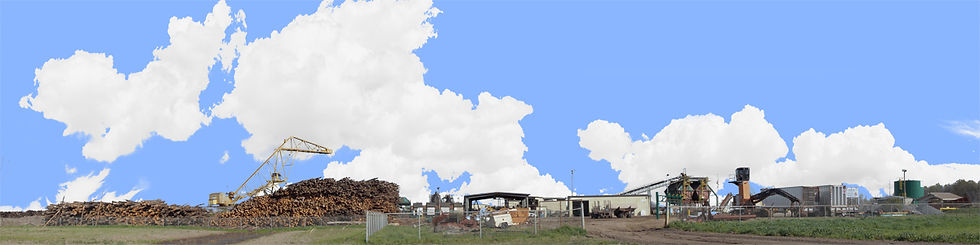 Thumbnail: WOOD CHIPPING PLANT PINE BULFF ARKANSAS right