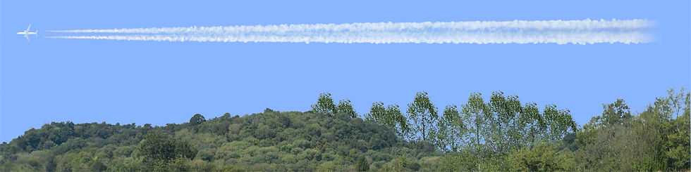 Thumbnail: SMOKY MOUNTAIN WOODS Right