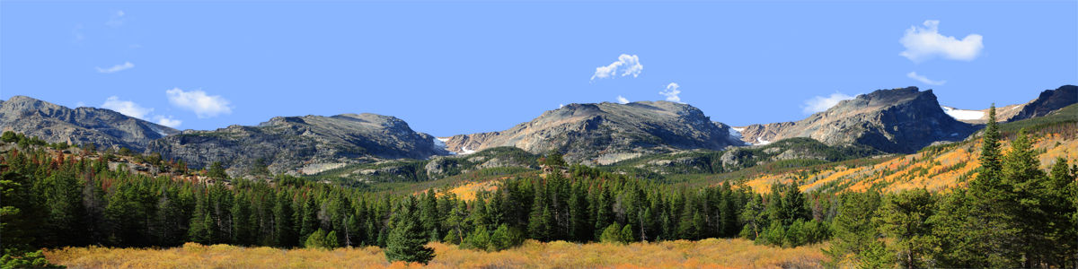 ASPEN COLORADO ROCKY MOUNTAINS TREE-LINE left