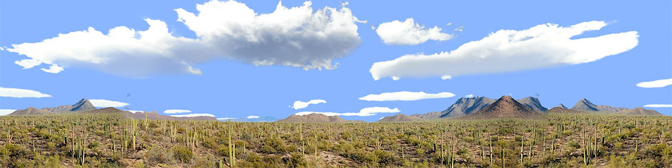 Thumbnail: SAGUARO NATIONAL MONUMENT FROM-SIGNAL HILL TRAIL right repeatable