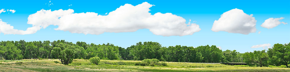 Thumbnail: TREELINE VISTA EASTERN COLORADO 6