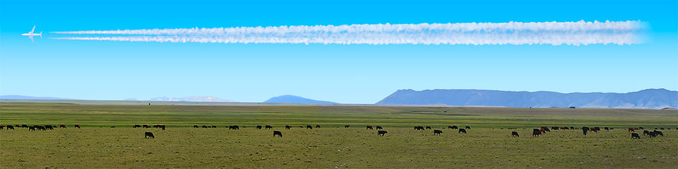 Thumbnail: BEEF ITS WHATS FOR DINNER IN WYOMING PT 2
