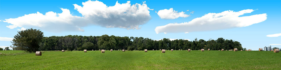 Thumbnail: ROUND HAY BALES WITH TREELINES left