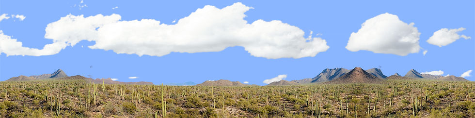 Thumbnail: SAGUARO NATIONAL MONUMENT FROM-SIGNAL HILL TRAIL right repeatable