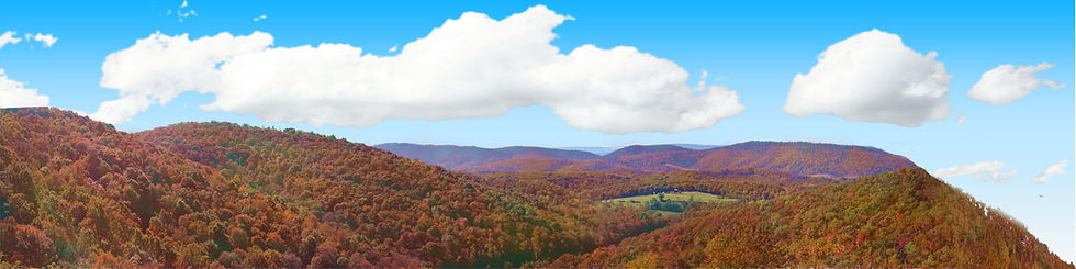 Thumbnail: FOREST CANOPY IN WEST VIRGINIA IN AUTUMN right