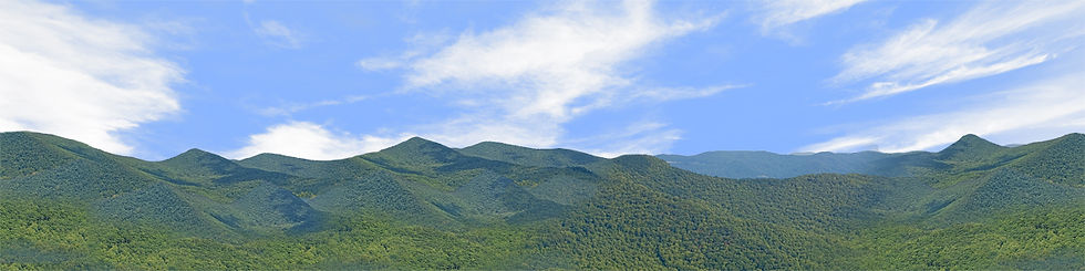 Thumbnail: BLUERIDGE MOUNTAIN VISTA 5 Center Repeatable