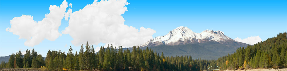 Thumbnail: MASKED MOUNT SHASTA FROM SISKIYOU LAKE NO LAKE right
