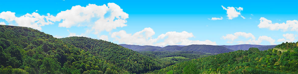 Thumbnail: FOREST CANOPY IN WEST VIRGINIA right
