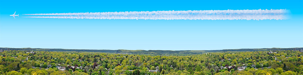 Thumbnail: NEW ENGLAND FOREST VALLEY center repeatable