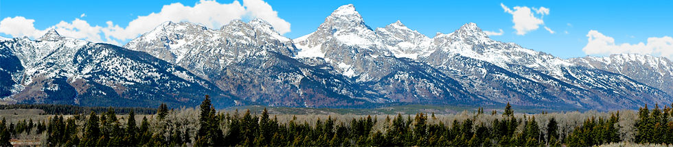 Thumbnail: GRAND TETON NATIONAL PARK MOUNTAIN WITH TALL GRASS AND TREES right