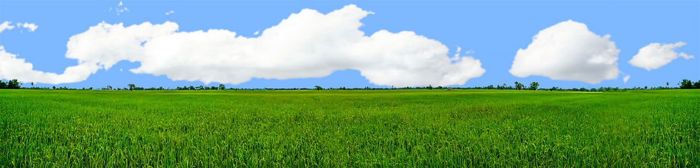 Thumbnail: FARMING RICE FIELD repeatable