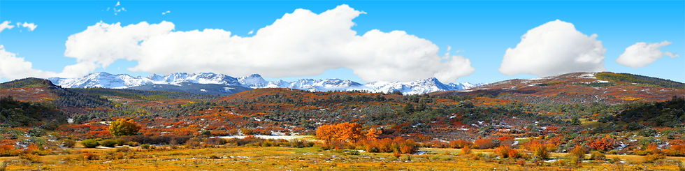 Thumbnail: AUTUMN MEADOW NEAR MOUNT SNEFFLES COLORADO Left Repeatable