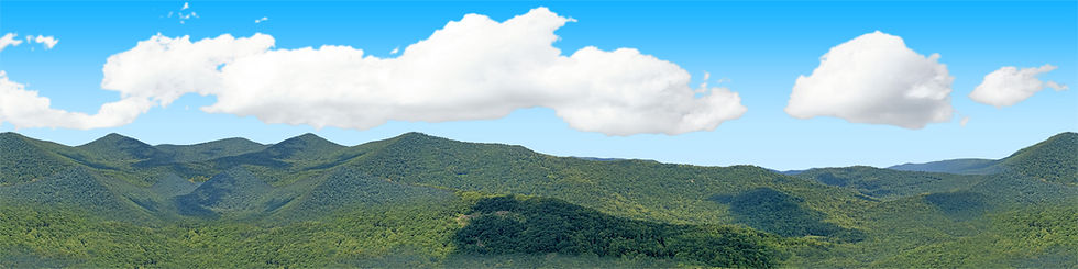 Thumbnail: BLUERIDGE MOUNTAIN VISTA 1 Center Repeatable