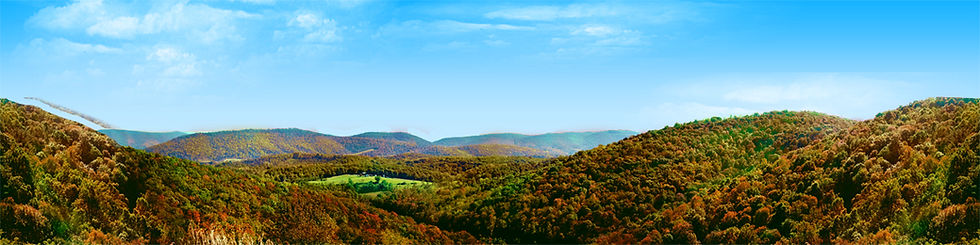 Thumbnail: FOREST CANOPY IN WEST VIRGINIA IN AUTUMN center continuous