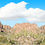 Thumbnail: DESERT SAGUAROS AROUND MOUNTAIN BUTTE left repeatable