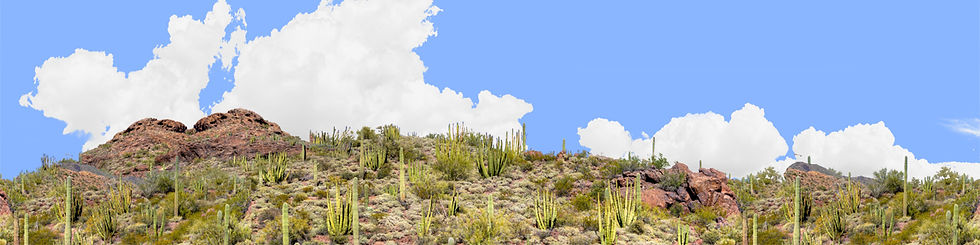 Thumbnail: ORGAN PIPE CACTUS NATIONAL MONUMENT left repeatable