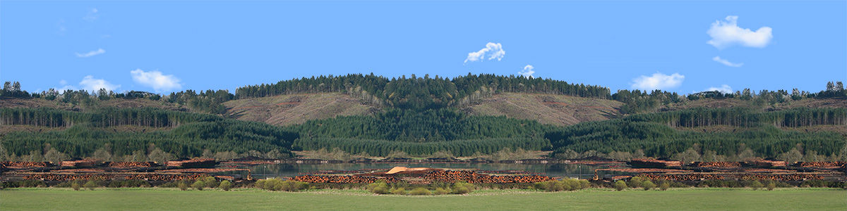 SAWMILL IN THE CASCADES EXTENSION repeatable