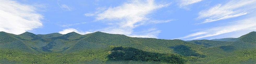 Thumbnail: BLUERIDGE MOUNTAIN VISTA 1 Center Repeatable