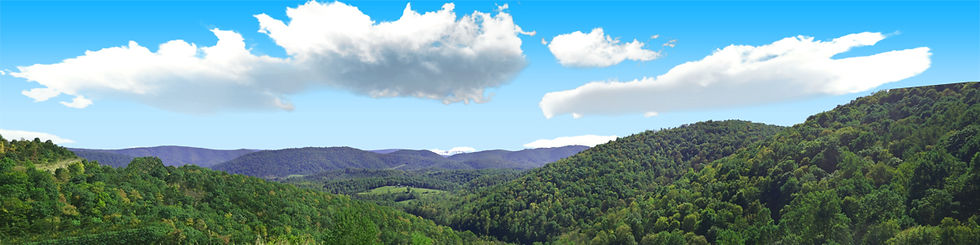 Thumbnail: FOREST CANOPY IN WEST VIRGINIA left