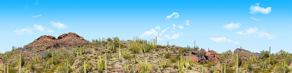 Thumbnail: ORGAN PIPE CACTUS NATIONAL MONUMENT left repeatable