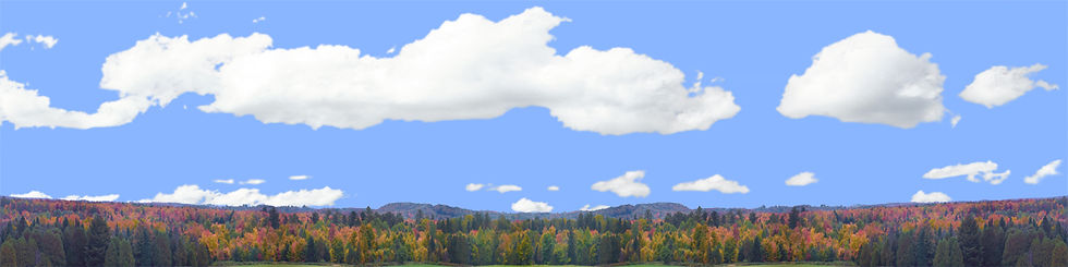 Thumbnail: AUTUMN TREELINE IN WISCONSIN Repeatable