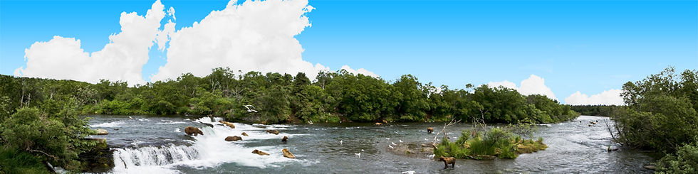 Thumbnail: BROOKS FALLS ALASKA WITH BEARS left