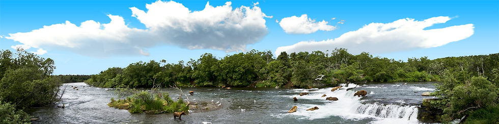Thumbnail: BROOKS FALLS ALASKA WITH BEARS right