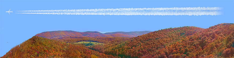 Thumbnail: FOREST CANOPY IN WEST VIRGINIA IN AUTUMN left
