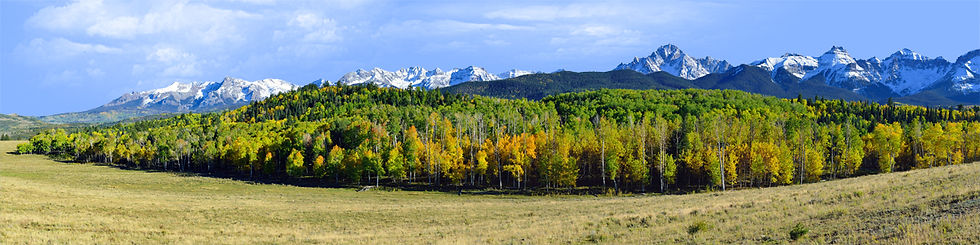 Thumbnail: COLORADO EARLY AUTUMN FOLIAGE MEADOW SNOW CAPPED MOUNTAINS IN DISTANCE left